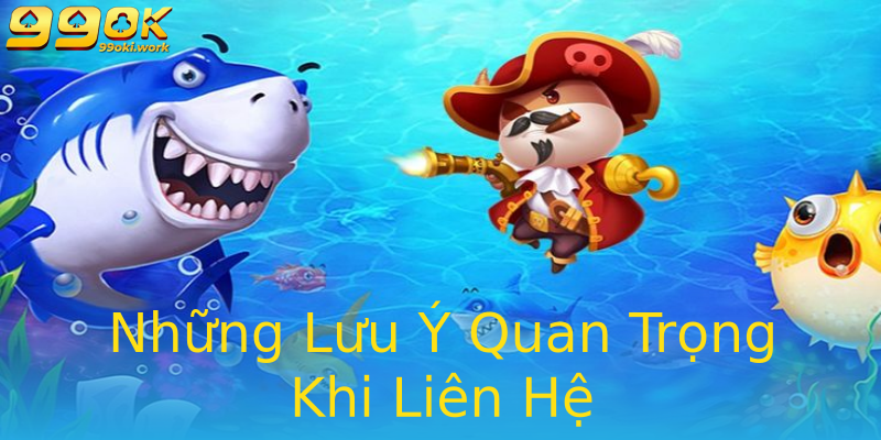 Những Lưu Ý Quan Trọng Khi Liên Hệ