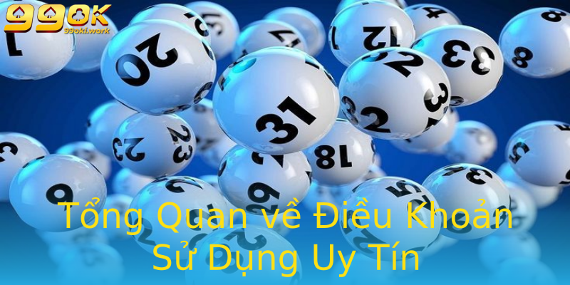 Tổng Quan về Điều Khoản Sử Dụng Uy Tín